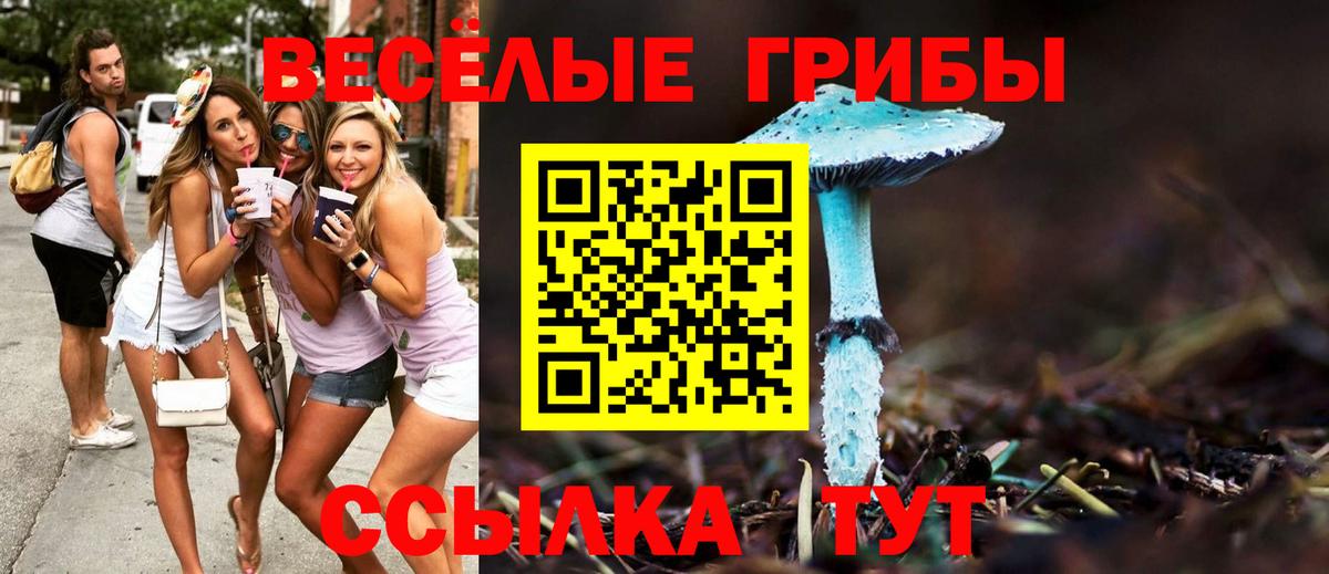 Галлюциногенные грибы мухоморы  Вход с VPN  Галлюциногенные грибы Psilocybe  Барнаул 